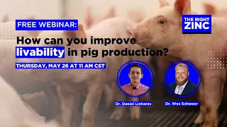 How can you improve livability in pig production? - Webinar Zinpro