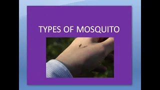 PSM 807 Different Types of Mosquito Difference between Anopheles Aedes Culex