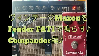 ヴィンテージMaxonをFender FAT1で鳴らす♪Compandor編♪[辺見さとしの3分間ギタートーキング♪]2024 04 19