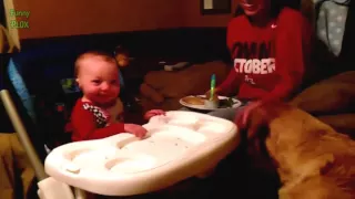 Best Babies Laughing Video Прикольное видео, дети смеются, ржут и хохочут! #56