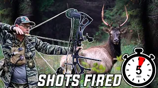 FULL DRAW At 20yds For 5 MINUTES!! (BULL DOWN)