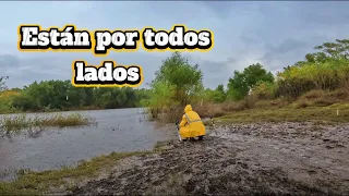 Pescando en condiciones adversas, mucha lluvia y truenos.