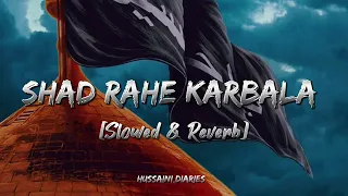 Shad Rahe Karbala | Slowed & Reverb | Ali Shanawar | Hussaini Diaries