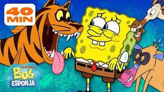 Bob Esponja | ¡Cada criatura de Bob Esponja! | Compilación de 40 minutos | Bob Esponja en Español