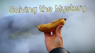 ICELANDIC BANANA SAGA : The Incredible Way Bananas Are Grown In Iceland (Part 1)