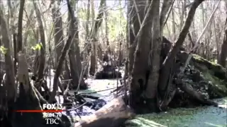 Bigfoot Photographed In Tampa Florida By Fisherman? - WTVT