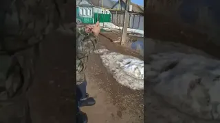 Паводок в Шарлыкском районе