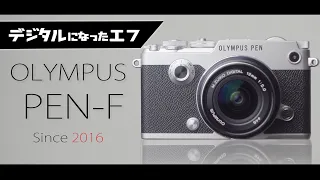 OLYMPUS PEN-Fを首に下げていて「高そうなカメラですね?」って何回声を掛けられたことか_#日産コンテンポラリーライフスタイルビークル #MEIKE 8mm F2.8