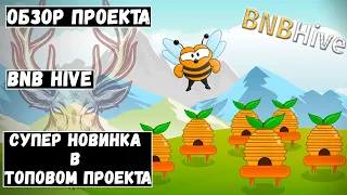 BNBHive - обзор проекта. Топовая новинка !!!