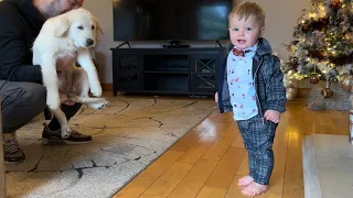 Adorable Baby Boy Talks To His Golden Retriever Puppy! (Cutest Ever!!)