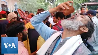 Hindu Activists Drink Cow Urine Amid Coronavirus Outbreak