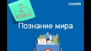 Познание мира. 2 класс. Как ориентироваться на местности /08.04.2021/