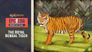 The Royal Bengal Tiger | EPICPEDIA - Unknown Facts of India | EP 4 | EPIC Digital Originals