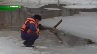 В Рыльском районе утонул 8-летний мальчик