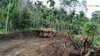 Excellent Work CAT D6X XL Bulldozer Operator Smooths Plantation Roads