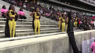 SU "I Don't Give A" - 2015 Southern University Human Jukebox vs Alabama State