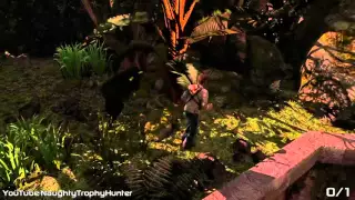 Uncharted: Судьба Дрейка - Коллекция вора-мастера Trophy / Глава: 20 - На помощь.