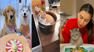 The funniest animals / Fun with cats and dogs 2022 / SN #23