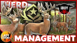 How to Spawn MULTIPLE WHITETAIL GREAT ONES With HERD MANAGEMENT! - Call of the Wild