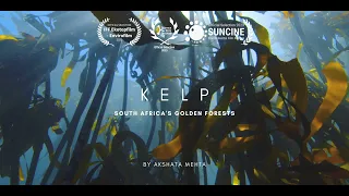 Kelp: South Africa's Golden Forests