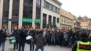 Wolfsburg fans in Malmö 27.02.2020