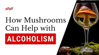 How Psilocybin Mushrooms Can Help With Alcoholism