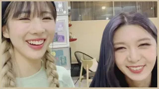 welcome to yoohyeon and dami's live part 2 🐶🐼 드림캐쳐 유현& 다미 라이브 환영합니다~