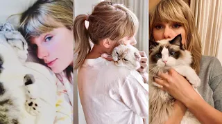 The Best of Taylor Swift and Her Cats