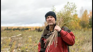 Les Stroud's Wild Harvest | preview