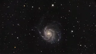 A visible supernova in the Pinwheel Galaxy?! | LIVE catch up post-holiday