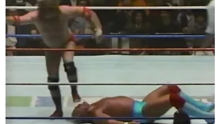 Hulk Hogan vs Terry Funk