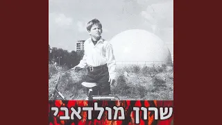 כנפיים