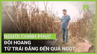 Về quê khởi nghiệp trồng rau, ai ngờ vỡ nợ 600 triệu đồng | VTC16