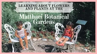 Matthaei Botanical Gardens | Fun With The Family
