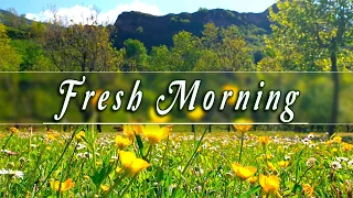 🌿🌞 Begin Your Day with the POSITIVE ENERGY of Healing Spring Sounds 🌻Fresh Morning Meadow Ambience#1