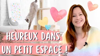 ca peut etre heureux un chat en appartement