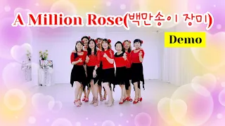 A Million Rose Line Dance(High Beginner)#백만송이장미