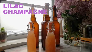 How to make sparkling wine at home with lilacs | Learn how to make a quick and easy cocktail!