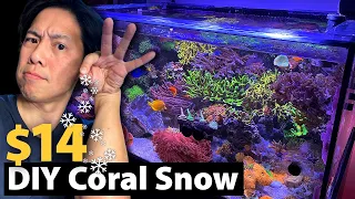 For $14: More Water Clarity! No Cyano, Vermetid Snail? Lower Nutrients? Testing out DIY Coral Snow.