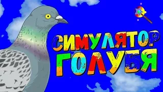 Лучший Симулятор Голубя обзор на симулятор Симуляторы играем в симуляторы FGGTV