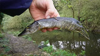 I Used a REAL PIKE as BAIT and Something Amazing Happened! (BIG FISH)