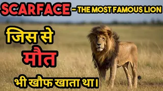 दुनिया के सबसे खतरनाक शेर Scarface की एक दर्दनाक अंत की कहानी। Scarface Lion Documentary in Hindi।