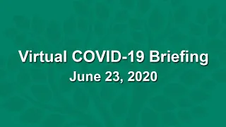 Virtual COVID-19 Briefing - June 23, 2020