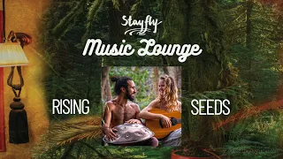 Stayfly Music Lounge - Rising Seeds..