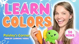 Learn Colors for Toddlers - Miss Lily | Best Toddler Learning Video | Educational Video for Toddlers