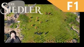 Die Siedler | Fazit der Closed Beta | Kein gutes Echtzeit-Strategie-Spiel | 01