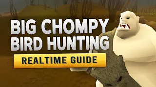 [RS3] Big Chompy Bird Hunting – Realtime Quest Guide