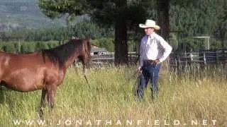 How to Stop a Horse From Eating Grass with Jonathan Field