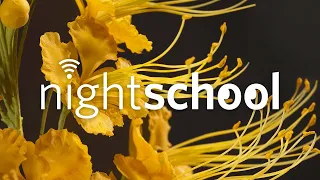 NightSchool: Making Natural History