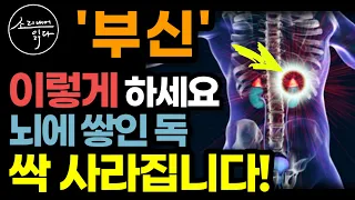 치매를 예방하는 부신의 놀라운 비밀! / 이렇게 하세요! 뇌에 쌓인 독소, 염증 싹 사라집니다! / 초간단 뇌 해독 방법 / 부신의 힘 / 책읽어주는여자 SODA's 건강 오디오북